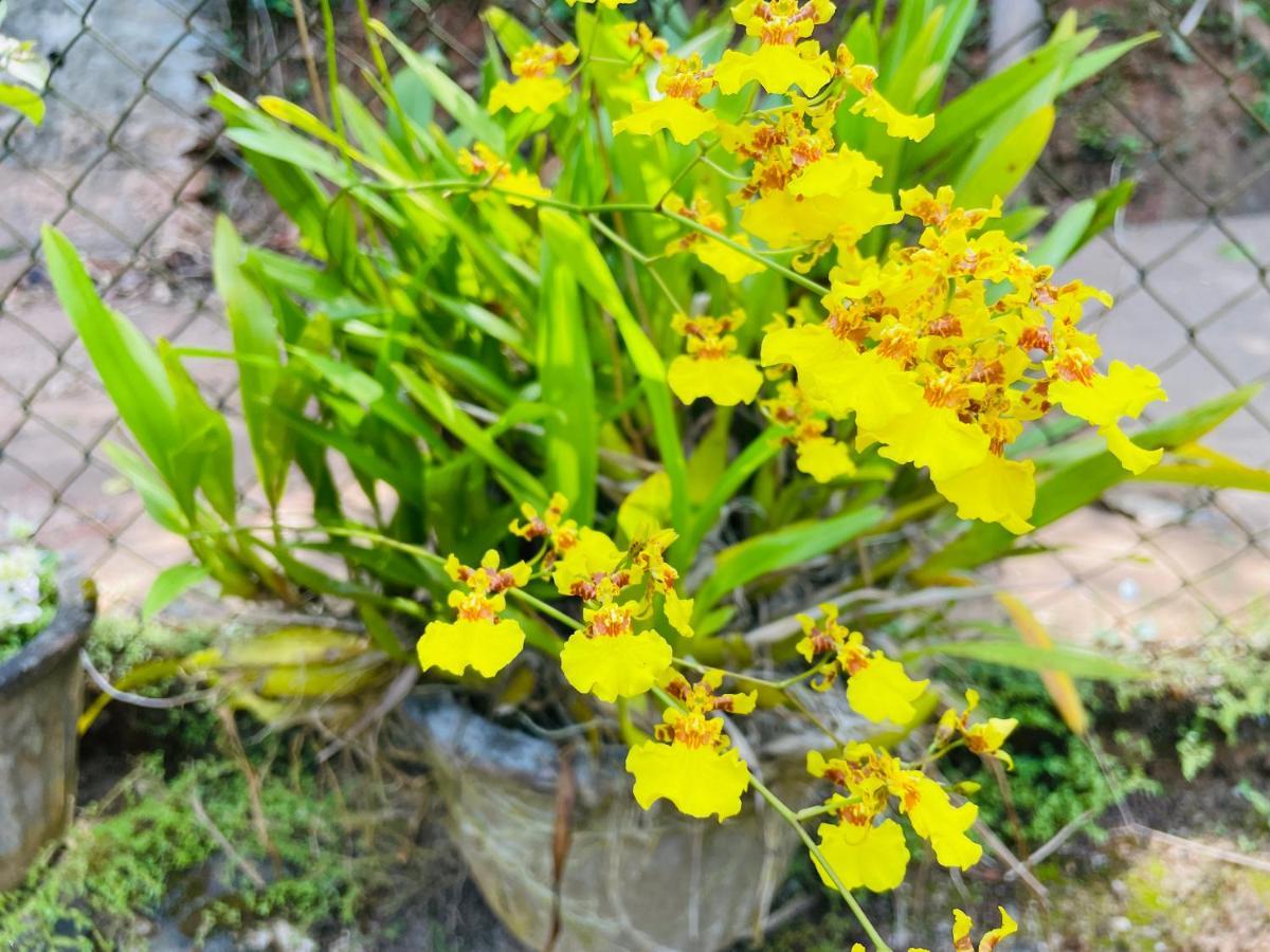 Unique Villa Kandy Buitenkant foto